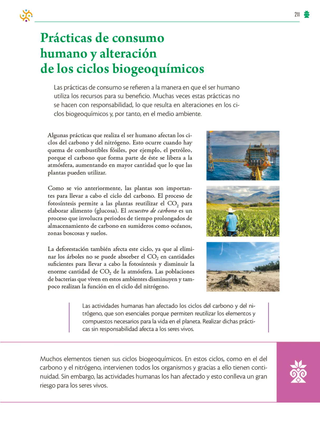 Miniatura página 212 de Colección Ximhai. Saberes y pensamiento científico.   Libro de Educación Telesecundaria Grado 1°  Ciclo Escolar 2025 - 2026