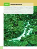 Miniatura página 12 de Ciencias Naturales 6° · Egb 6 Ciencias Naturales 2025 · 2025