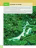 Miniatura página 12 de Ciencias Naturales 6° · Egb 6 Ciencias Naturales 2025 · 2025