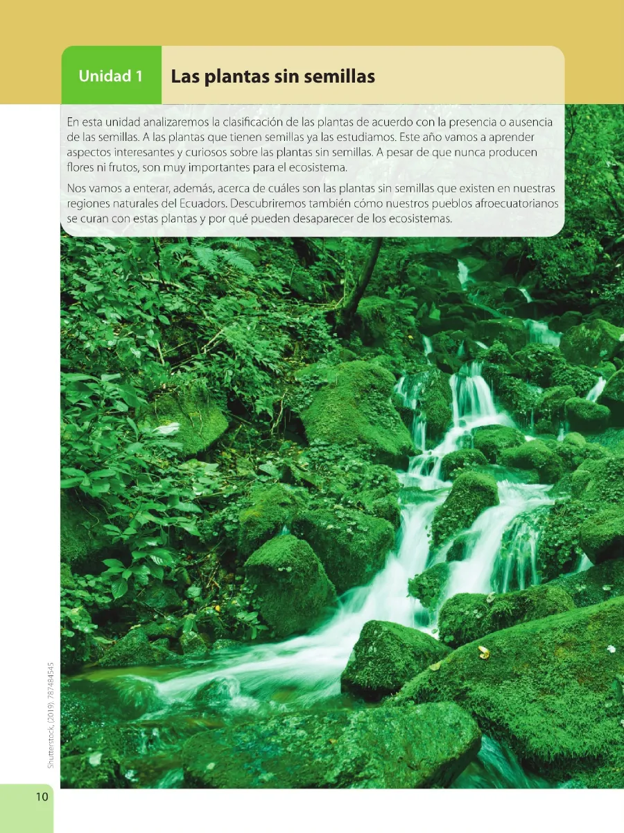 Miniatura página 12 de Ciencias Naturales · 6 EGB · 2025