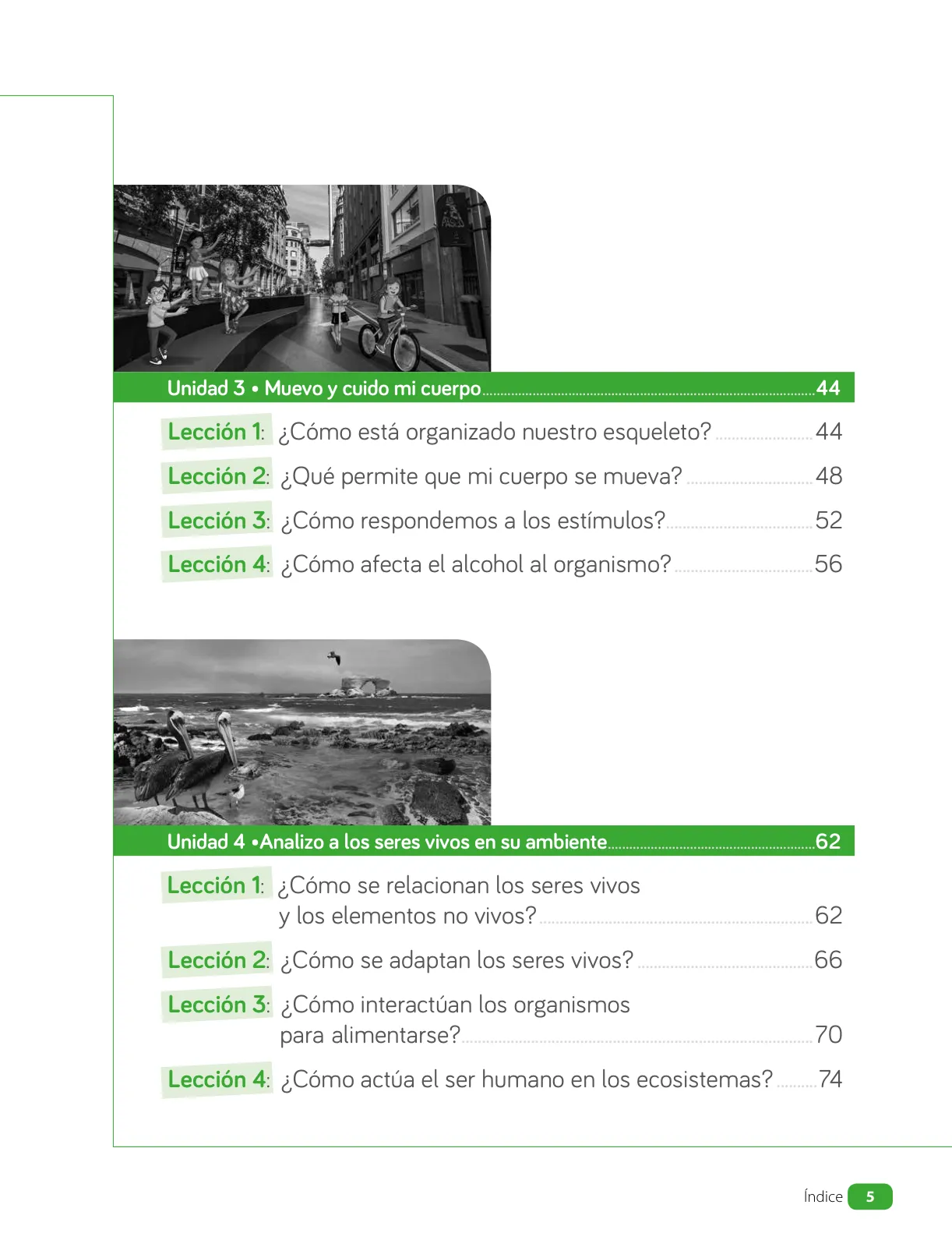 Miniatura página 7 de Ciencias Naturales – Cuarto Básico | Texto del Estudiante MINEDUC – Descargar PDF · 2024