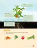Miniatura página 95 de Ciencias Naturales – Tercero Básico | Texto del Estudiante MINEDUC – Descargar PDF · 2024