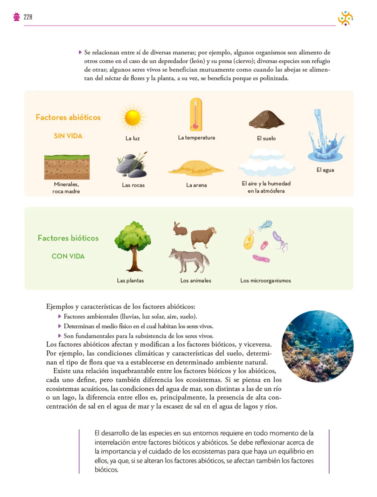 Miniatura página 229 de Colección Ximhai. Saberes y pensamiento científico.   Libro de Educación Secundaria Grado 1°  Ciclo Escolar 2025 - 2026