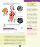Miniatura página 26 de Ciencias Naturales – Séptimo Básico | Texto del Estudiante MINEDUC – Descargar PDF · 2024