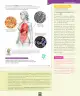 Miniatura página 26 de Ciencias Naturales – Séptimo Básico | Texto del Estudiante MINEDUC – Descargar PDF · 2024