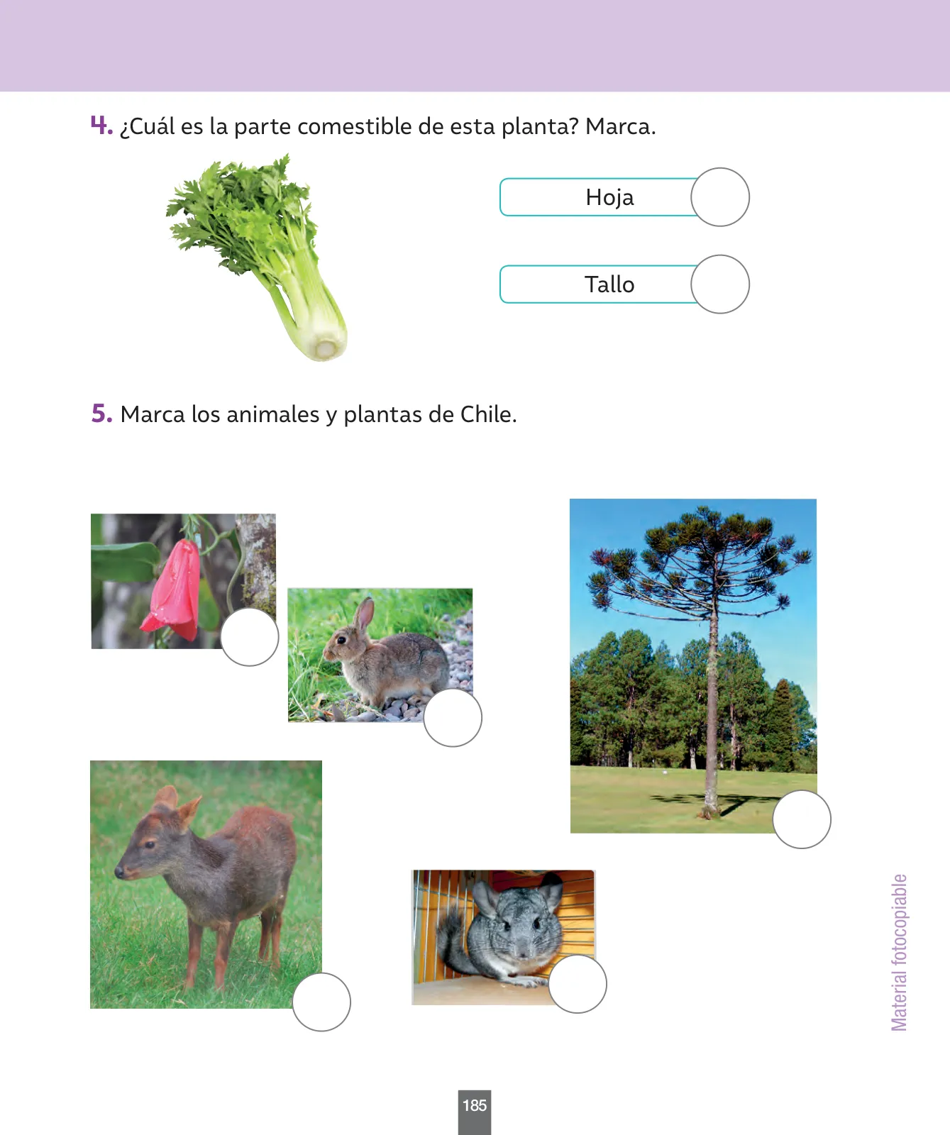 Miniatura página 186 de Ciencias Naturales – Primero Básico | Texto del Estudiante (MINEDUC) – Descargar PDF · 2024