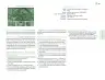 Miniatura página 196 de Posibilidades de trabajo para la acción transformadora y el codiseño. Ficheros. Fase 2  Libro de Educación Preescolar Grado 1°, 2°, 3°  Ciclo Escolar 2025 - 2026
