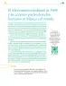 Miniatura página 196 de Colección Sk´asolil. Nuestro libro de Proyectos.  Tomo III.  Libro de Educación Telesecundaria Grado 2°  Ciclo Escolar 2025 - 2026