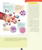 Miniatura página 40 de Ciencias Naturales – Octavo Básico | Texto del Estudiante MINEDUC – Descargar PDF · 2024