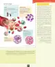 Miniatura página 40 de Ciencias Naturales – Octavo Básico | Texto del Estudiante MINEDUC – Descargar PDF · 2024