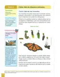Miniatura página 19 de Ciencias Naturales 2° · Egb 2 Ciencias Naturales 2025 · 2025