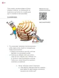Miniatura página 39 de Proyectos Comunitarios.   Libro de Educación Primaria Grado 4°  Ciclo Escolar 2025 - 2026