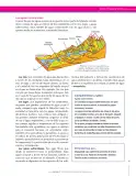 Miniatura página 45 de Ciencias Sociales 6° · Secundaria Activa