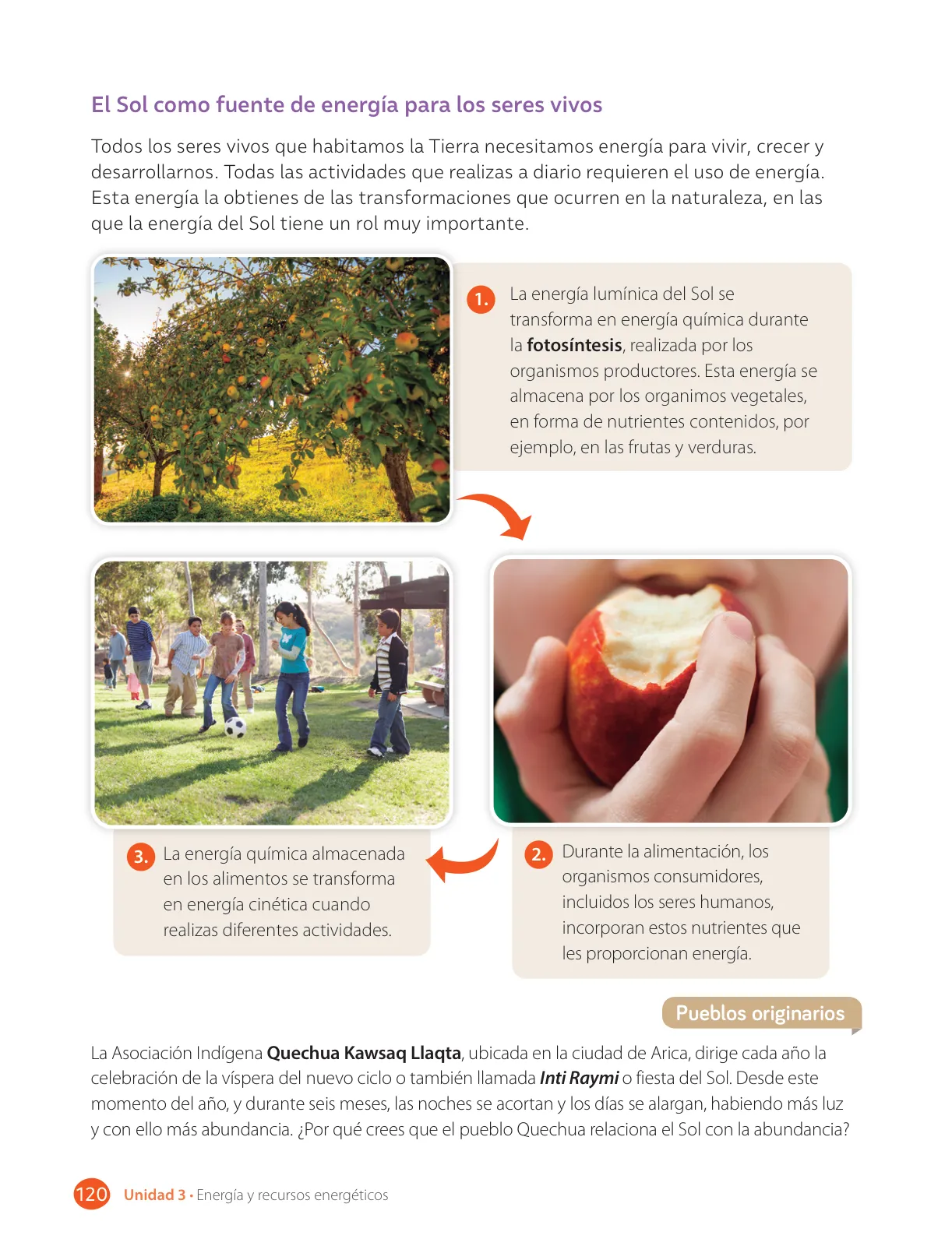 Página 122 de Libro de Ciencias Naturales – Quinto Básico | Texto del Estudiante MINEDUC – Descargar PDF · 2024