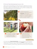 Miniatura página 122 de Libro de Ciencias Naturales – Quinto Básico | Texto del Estudiante MINEDUC – Descargar PDF · 2024