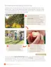 Miniatura página 122 de Libro de Ciencias Naturales – Quinto Básico | Texto del Estudiante MINEDUC – Descargar PDF · 2024