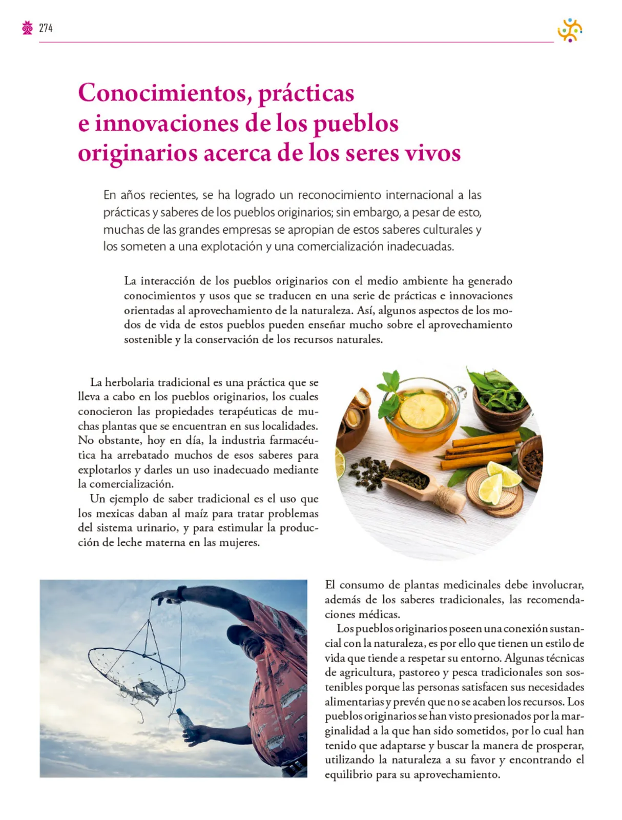 Página 275 de Colección Ximhai. Saberes y pensamiento científico.   Libro de Educación Secundaria Grado 1°  Ciclo Escolar 2025 - 2026