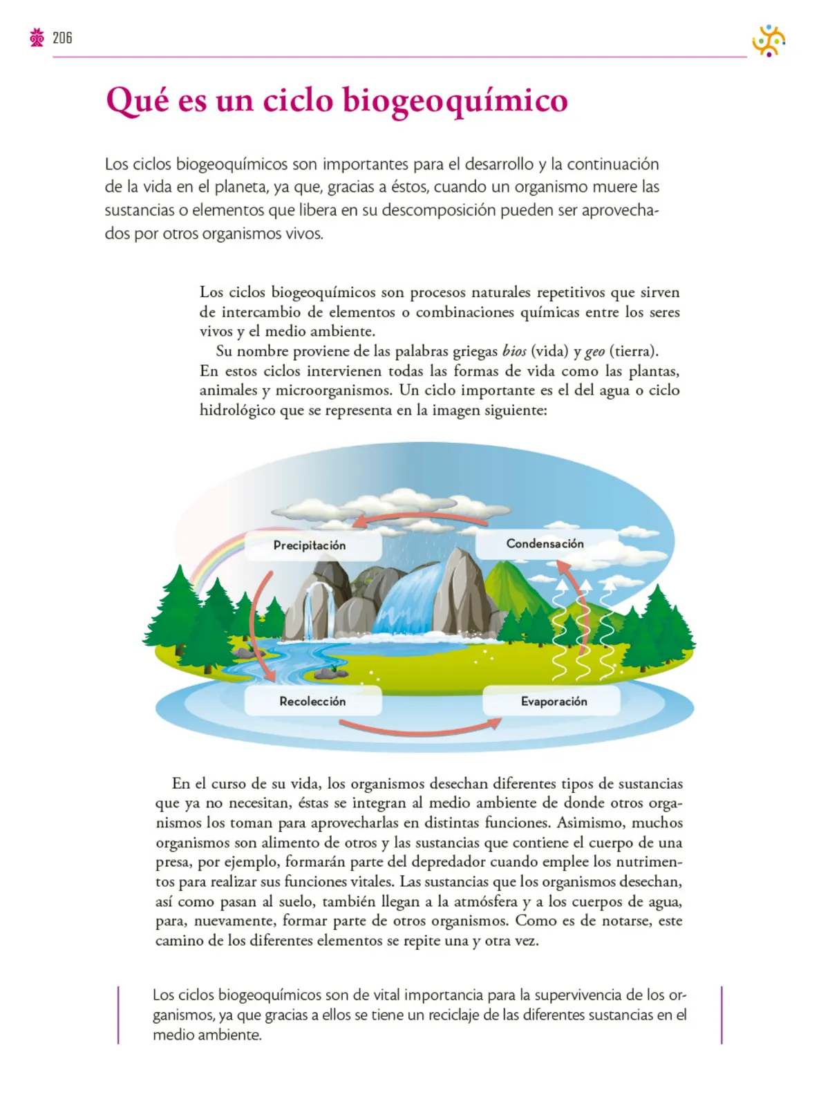 Miniatura página 207 de Colección Ximhai. Saberes y pensamiento científico.   Libro de Educación Secundaria Grado 1°  Ciclo Escolar 2025 - 2026
