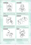 Miniatura página 185 de Lengua de señas peruana : guía para el aprendizaje de la lengua de señas peruana, vocabulario básico · 2015