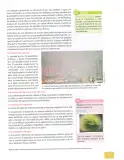 Miniatura página 138 de Ciencias Naturales 8° · Egb 8 Ciencias Naturales 2025 · 2025