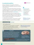 Miniatura página 18 de Historia, Geografía y Ciencias Sociales – Séptimo Básico | Texto del Estudiante MINEDUC – Descargar PDF · 2024