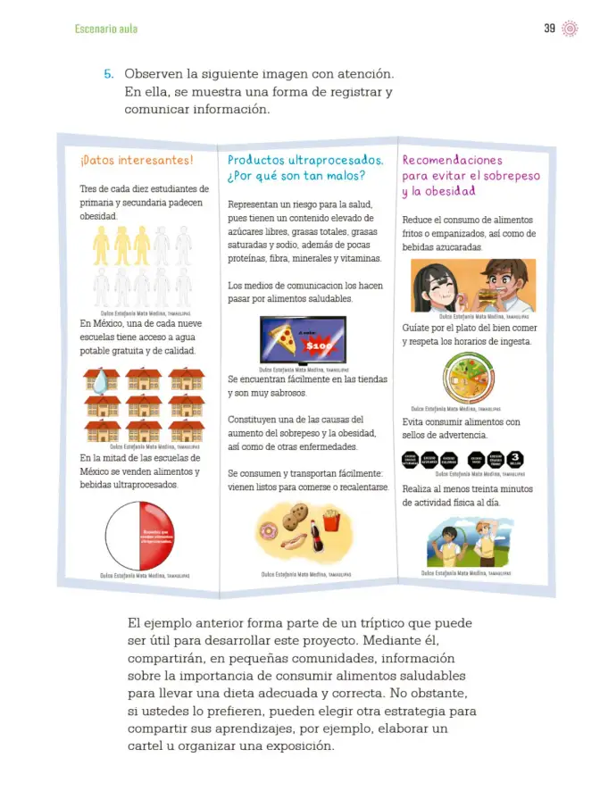 Página 42 de Proyectos de Aula. Libro de Educación Primaria Grado 4° Ciclo Escolar 2025 - 2026