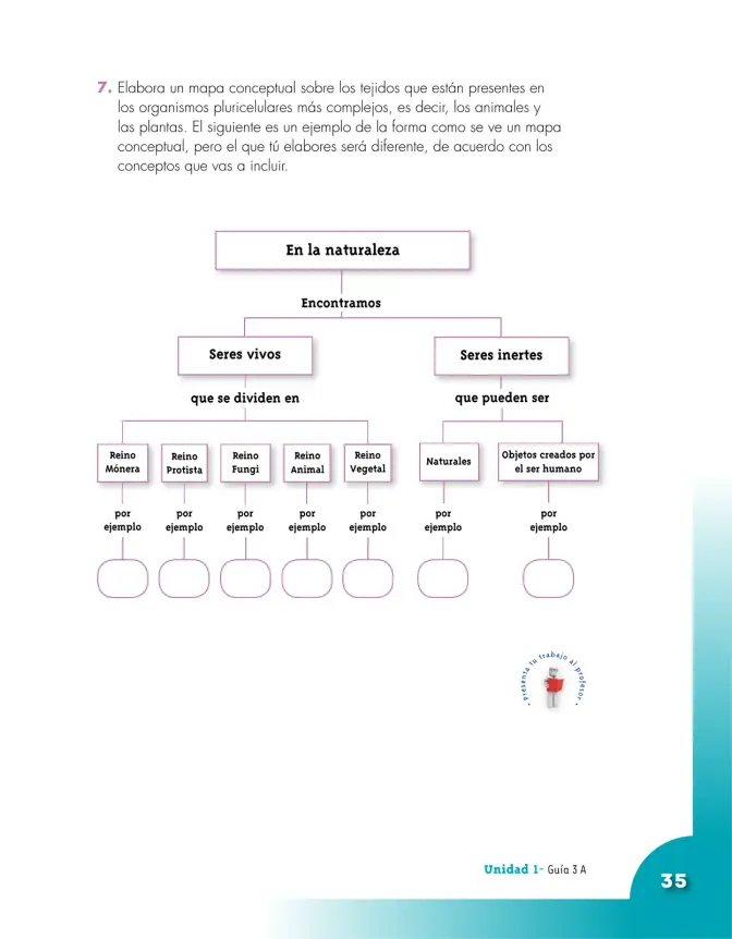 Página 35 de Ciencias Naturales 5° · Cartilla 01