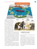 Miniatura página 24 de Nuestros saberes: México, grandeza y diversidad.   Libro de Educación Primaria Grado 4°  Ciclo Escolar 2025 - 2026