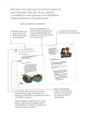 Miniatura página 6 de Proyectos Escolares.   Libro de Educación Primaria Grado 5°  Ciclo Escolar 2025 - 2026