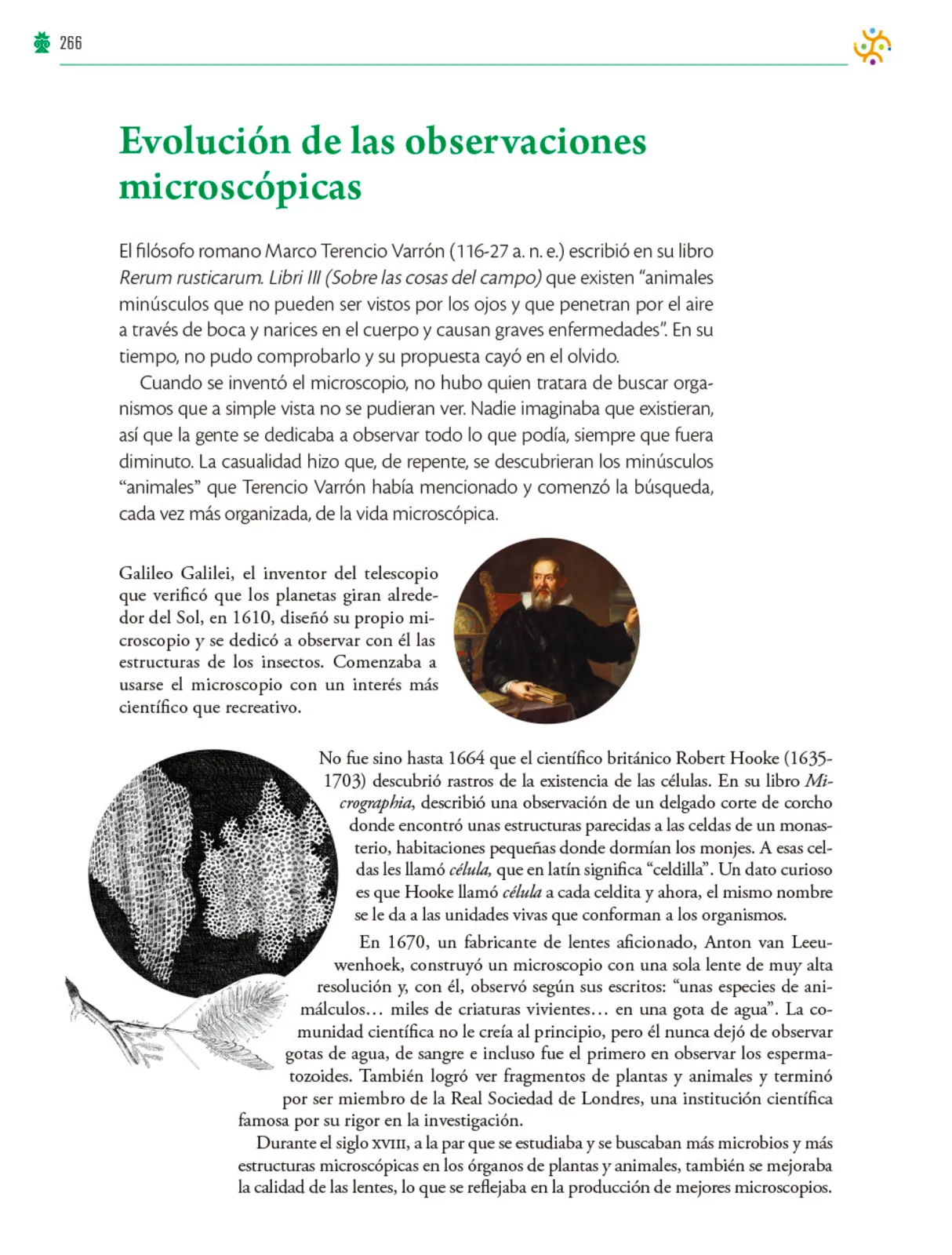 Miniatura página 267 de Colección Ximhai. Saberes y pensamiento científico.   Libro de Educación Telesecundaria Grado 1°  Ciclo Escolar 2025 - 2026