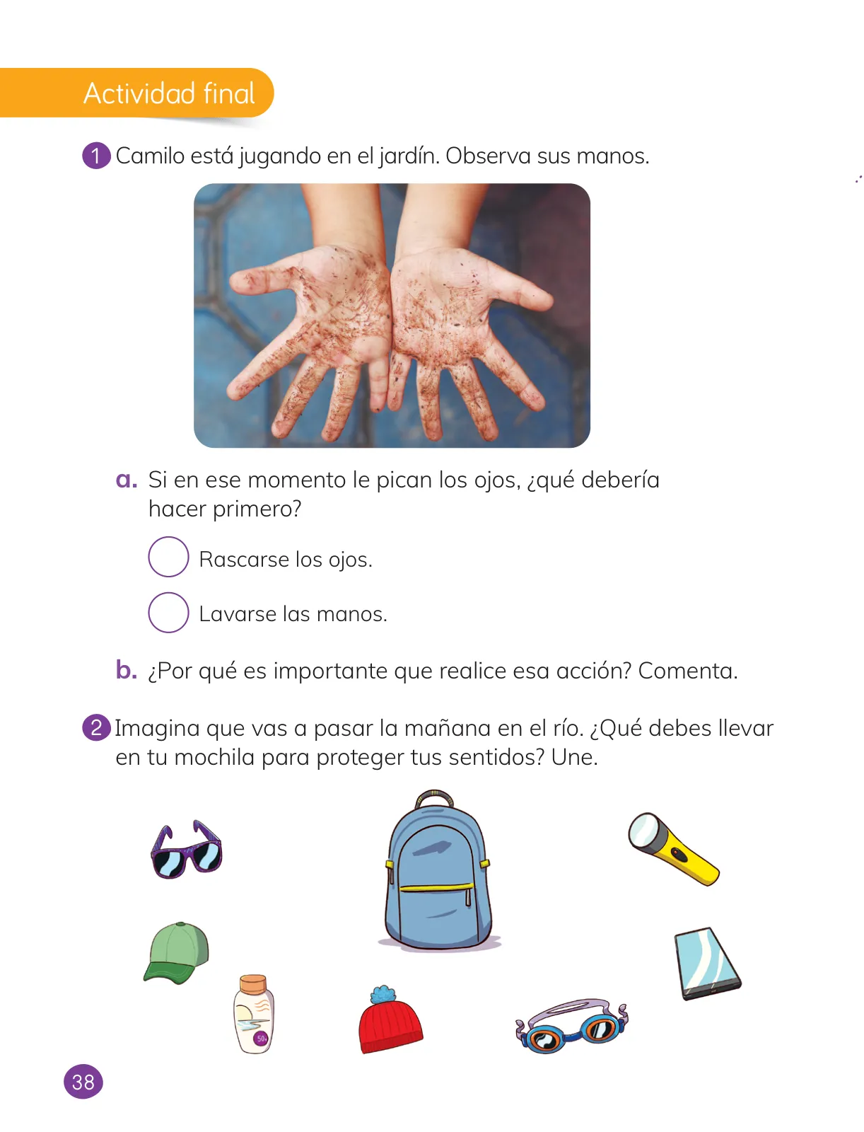 Página 40 de Ciencias Naturales – Primero Básico | Texto del Estudiante (MINEDUC) – Descargar PDF · 2024