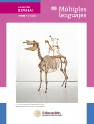 Página de Colección Ximhai. Múltiples lenguajes. Libro de Educación Secundaria Grado 1° Ciclo Escolar 2025 - 2026