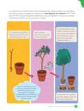 Miniatura página 85 de Libro de Ciencias Naturales – Quinto Básico | Texto del Estudiante MINEDUC – Descargar PDF · 2024