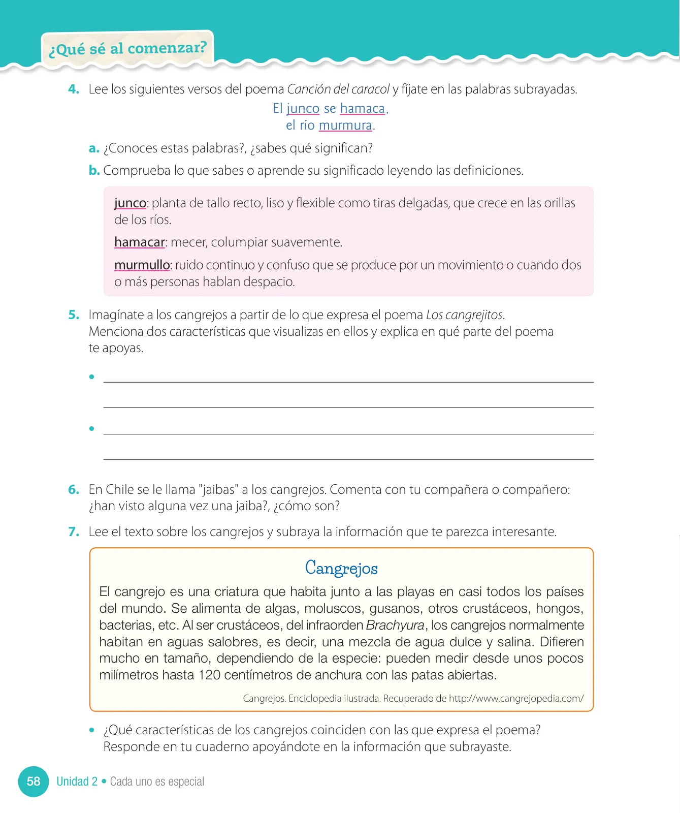 Página 172 de Lenguaje y Comunicación – Cuarto Básico | Texto del Estudiante MINEDUC – Descargar PDF · 2024