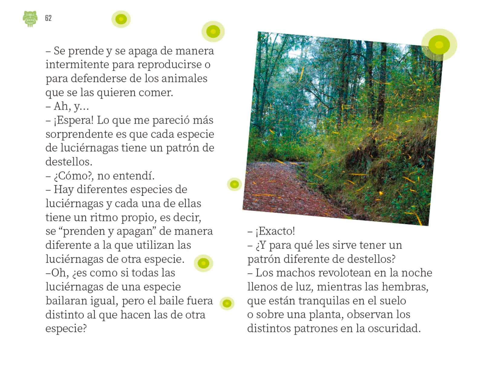 Página 63 de Múltiples lenguajes. Libro de Educación Preescolar Grado 2° Ciclo Escolar 2025 - 2026