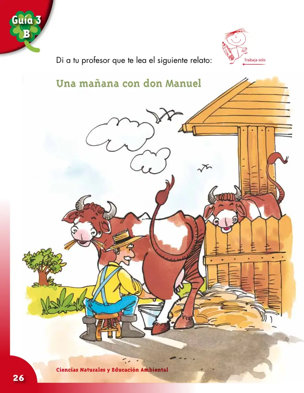 Página 26