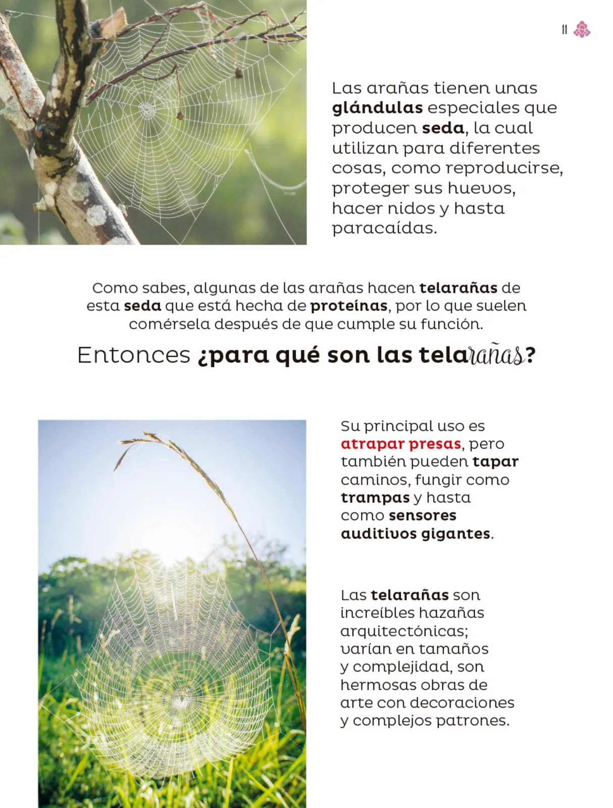 Página 12 de Múltiples lenguajes. Libro de Educación Primaria Grado 4° Ciclo Escolar 2025 - 2026