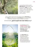 Miniatura página 12 de Múltiples lenguajes.   Libro de Educación Primaria Grado 4°  Ciclo Escolar 2025 - 2026