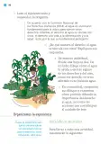 Miniatura página 151 de Proyectos de Aula.   Libro de Educación Primaria Grado 2°  Ciclo Escolar 2025 - 2026