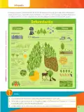 Miniatura página 35 de Ciencias Naturales 6° · Egb 6 Ciencias Naturales 2025 · 2025