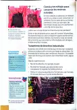 Miniatura página 69 de Ciencias Naturales 4° · Egb 4 Ciencias Naturales 2025 · 2025