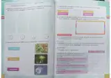 Miniatura página 15 de Ciencias Naturales 3° · Egb 3 Ciencias Naturales 2024 · 2024