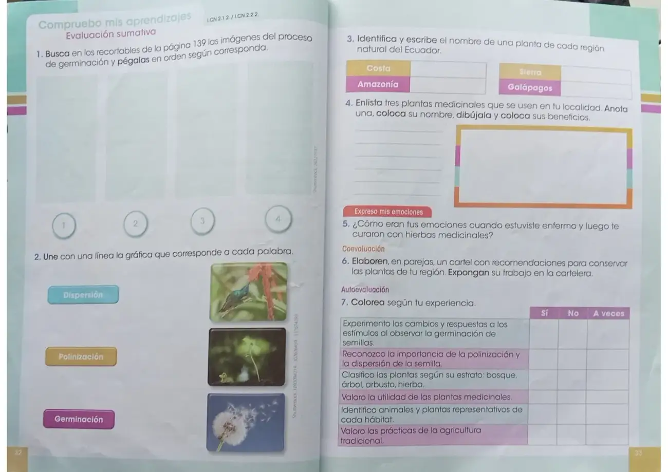 Página 15