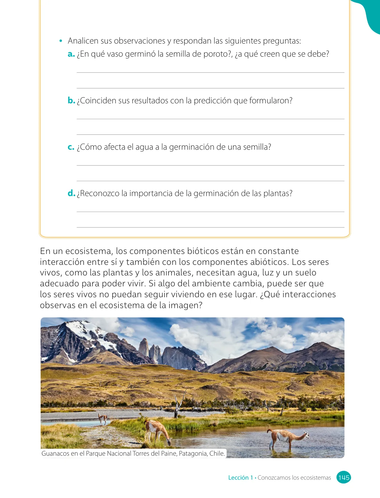 Miniatura página 147 de Ciencias Naturales – Cuarto Básico | Texto del Estudiante MINEDUC – Descargar PDF · 2024