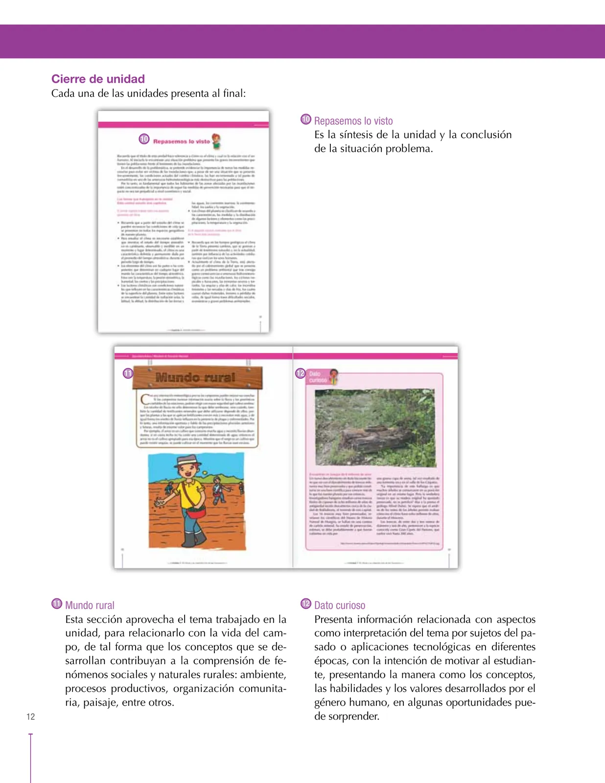 Página 12 de Ciencias Sociales 7° · Secundaria Activa