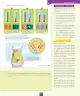 Miniatura página 46 de Ciencias Naturales – Octavo Básico | Texto del Estudiante MINEDUC – Descargar PDF · 2024