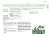 Miniatura página 20 de Posibilidades de trabajo para la acción transformadora y el codiseño. Ficheros. Fase 2  Libro de Educación Preescolar Grado 1°, 2°, 3°  Ciclo Escolar 2025 - 2026