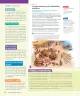 Miniatura página 45 de Historia, Geografía y Ciencias Sociales – Séptimo Básico | Texto del Estudiante MINEDUC – Descargar PDF · 2024