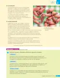 Miniatura página 138 de Lenguaje y Comunicación – Sexto Básico | Texto del Estudiante MINEDUC – Descargar PDF · 2024