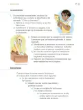 Miniatura página 50 de Proyectos de Aula.   Libro de Educación Primaria Grado 4°  Ciclo Escolar 2025 - 2026